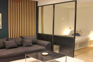 Le Grenoblois - Hypercentre Apartments, Grenoble