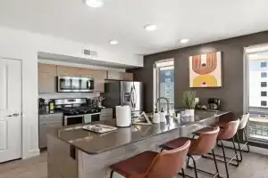 LUX 2 BD BOHO in heart of SLC Apartments, Salt Lake City