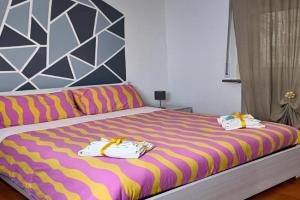 Stabia House, Parma