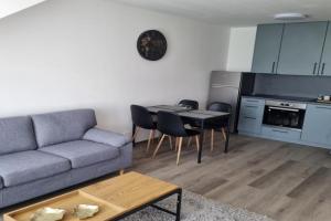 Černá Růže- Apartmán 5, Plzen