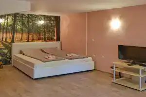 Mushrooms house, Pleven