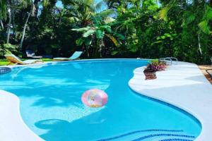 Tropical paradise! Walking distance to the beach! Guest house, Hollywood