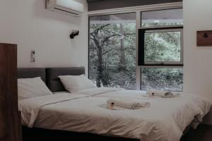Apple cozy hotel, Tbilisi