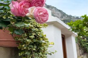 Il Cigno B&B Mini-hotel, Capri Village