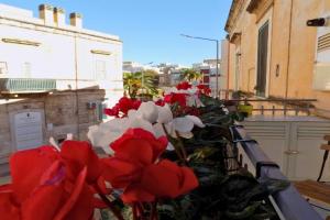 la dimora del viaggiatore, casa in città, Bisceglie