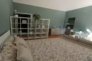 Valentino park suite Apartments, Torino