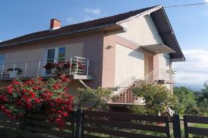 Seosko domacinstvo Nedic Cottage, Valjevo