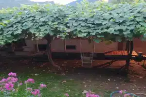 Guest House Nene, Mestia