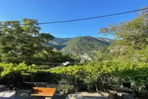 Borjomi View Guest house, Borjomi