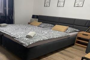 Černá Růže - Apartmán 4, Plzen
