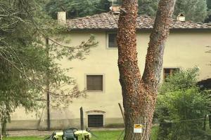 Gioconda casa vacanze, Montevarchi