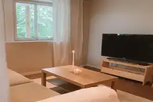 Cozy and newly renovated appartment Apartments, Kristiansand