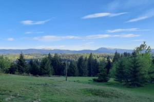 Eko-sadiba "Pid liskom" Apartments, Jablonitza