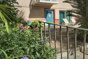 Tropical Courtyard Paradise on Friendly Native #502 Apartments, St Pete Beach