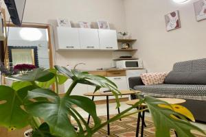 Dori's Wilson Studio at Blloku Neighborhood, Tirana