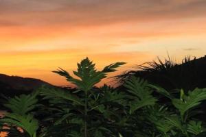 Gigi's Self Catering Apartment, Port Glaud