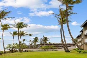 1BR Condo at Oceanfront Resort Shore, Kapaa