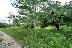 Kmping Chasten Dvor BULGARIAN CAMPSITE for Tents, Kazanlak