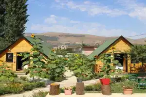 Wood House, Berat