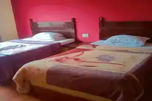 Hotel Holidays Inn - Bagpacker's Home, Sauraha