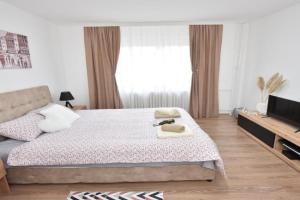 Apartman 1, Kraguyevats