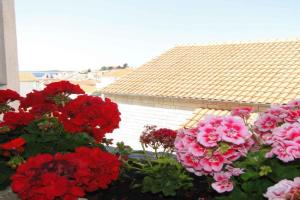 Apartment in - Sibenik Riviera 35910, Primosten