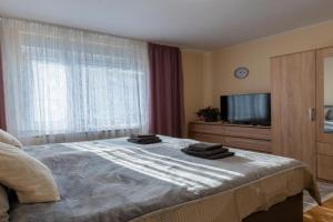 Cosy house - Home base, Maribor