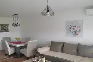 Apartman Petra, Nis