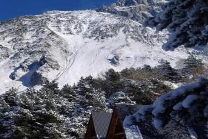 Cottage Paradise, Kazbegi