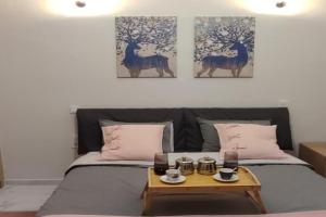 City Hall studio apartment, Trikala