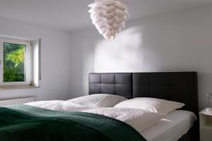 Apartment 1, Bad Konig