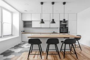 Stylish apartment in city center, Vilnius