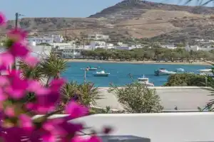 Villa Contessina V, Apollonia