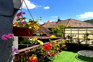 KShchA za GOSTI TRAPEZITsA za do 12 ChOVEKA s BEZPLATEN PARKING, DVOR i VERANDI, v GRAD VELIKO TRNOVO Guest house, Veliko Tarnovo