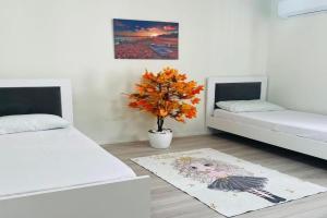 Senri apartments, Durres