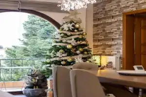 Excellent House, Trikala