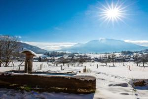 Langerbauer-Hof inkl. Chiemgaukarte Apartments, Ruhpolding
