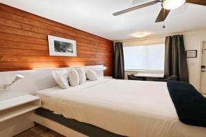 Waves Beach Town Studio Apartment, Pompano Beach
