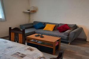 T4 plein centre ville Apartments, Lourdes