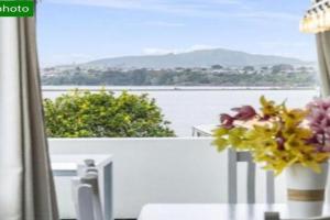 Tauranga Harbour View Guest house, Tauranga