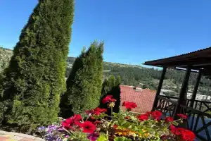 U Sofiyi Guest house, Volovec