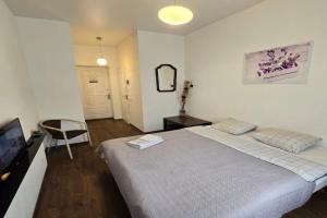 S5 Studio Apartment, Klaipeda