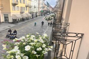 civico59 Apartments, Pavia