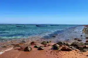 Village Light House, Dahab