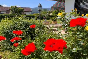 Haus Bergblick Apartments, Villach