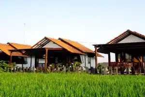 Ary's Residence powered by Cocotel, Yogyakarta