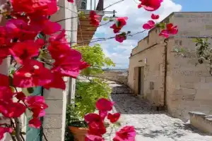 La casa di Sofia_Apartment, Matera