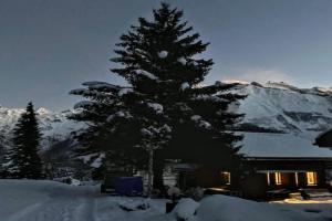 Cosy Chalet 87 in with spectacular mountain and lake Views, Engelberg
