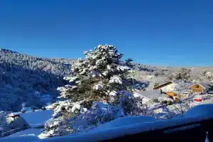 Große Ferienwohnung in ruhiger Lage mit toller Aussicht in Apartments, Triberg