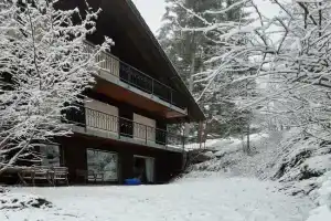 Ferienwohnung in Schönwald Schwarzwald Apartments, Schonwald im Schwarzwald